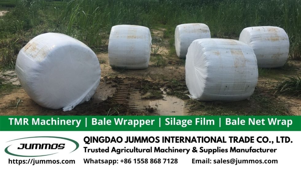 How to Preserve Hay Bales Correctly Jummos